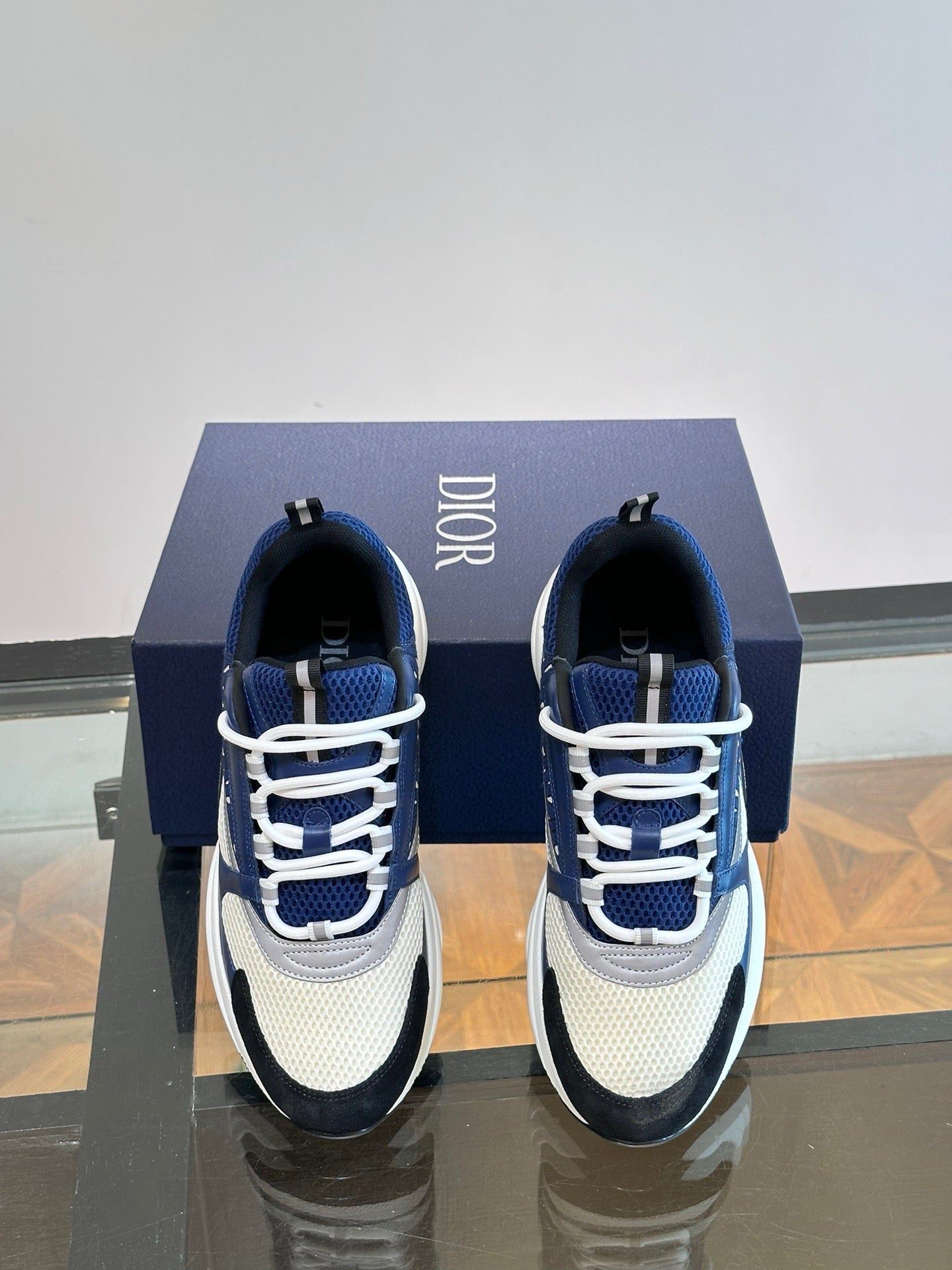 DIOR B22