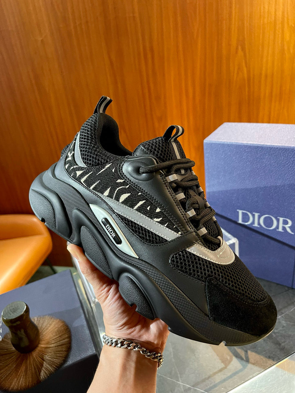 DIOR B22