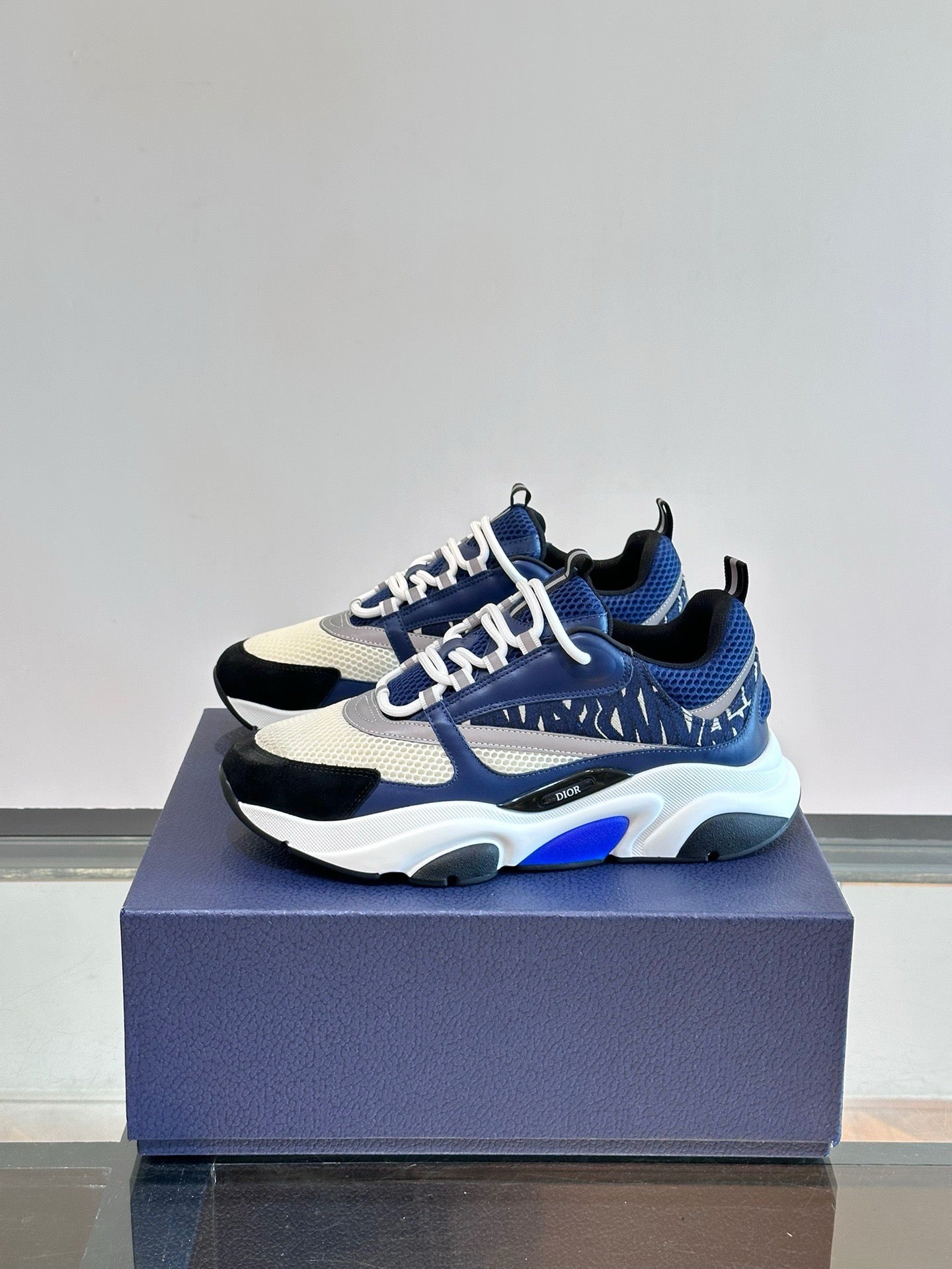 DIOR B22