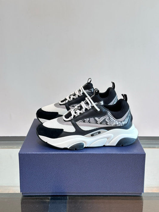 DIOR B22