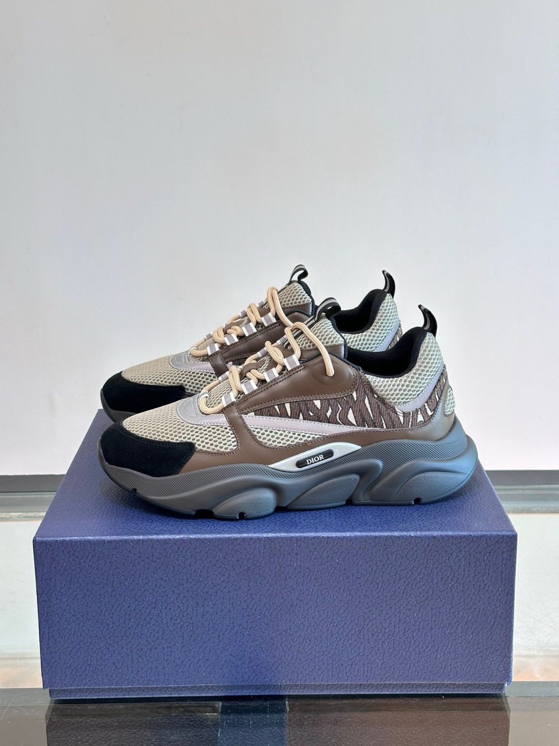DIOR B22