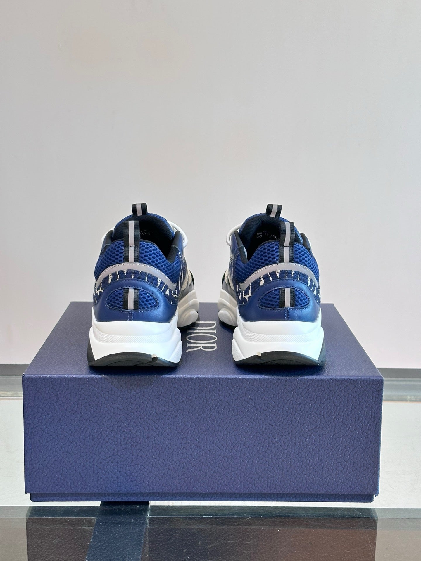 DIOR B22