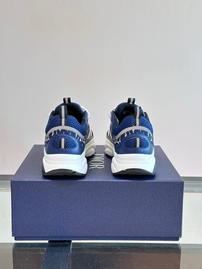 DIOR B22